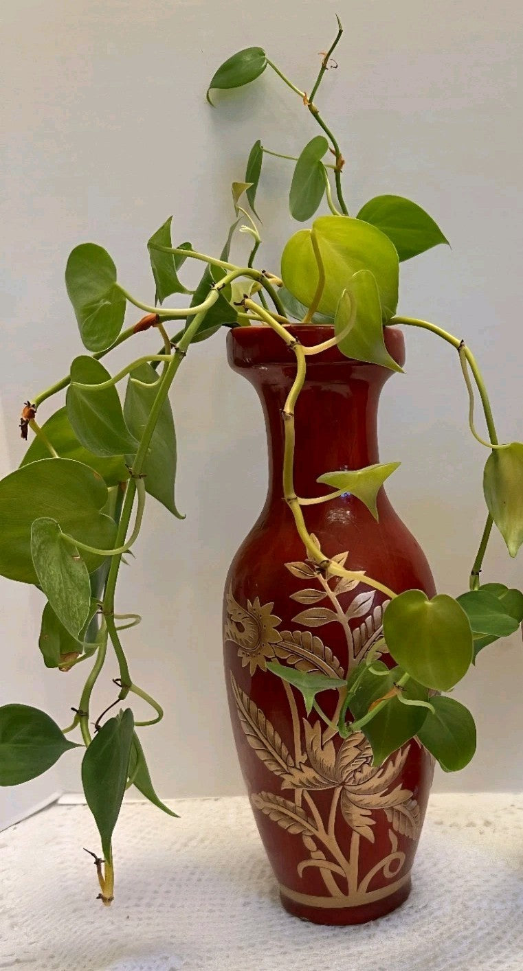 Image #15