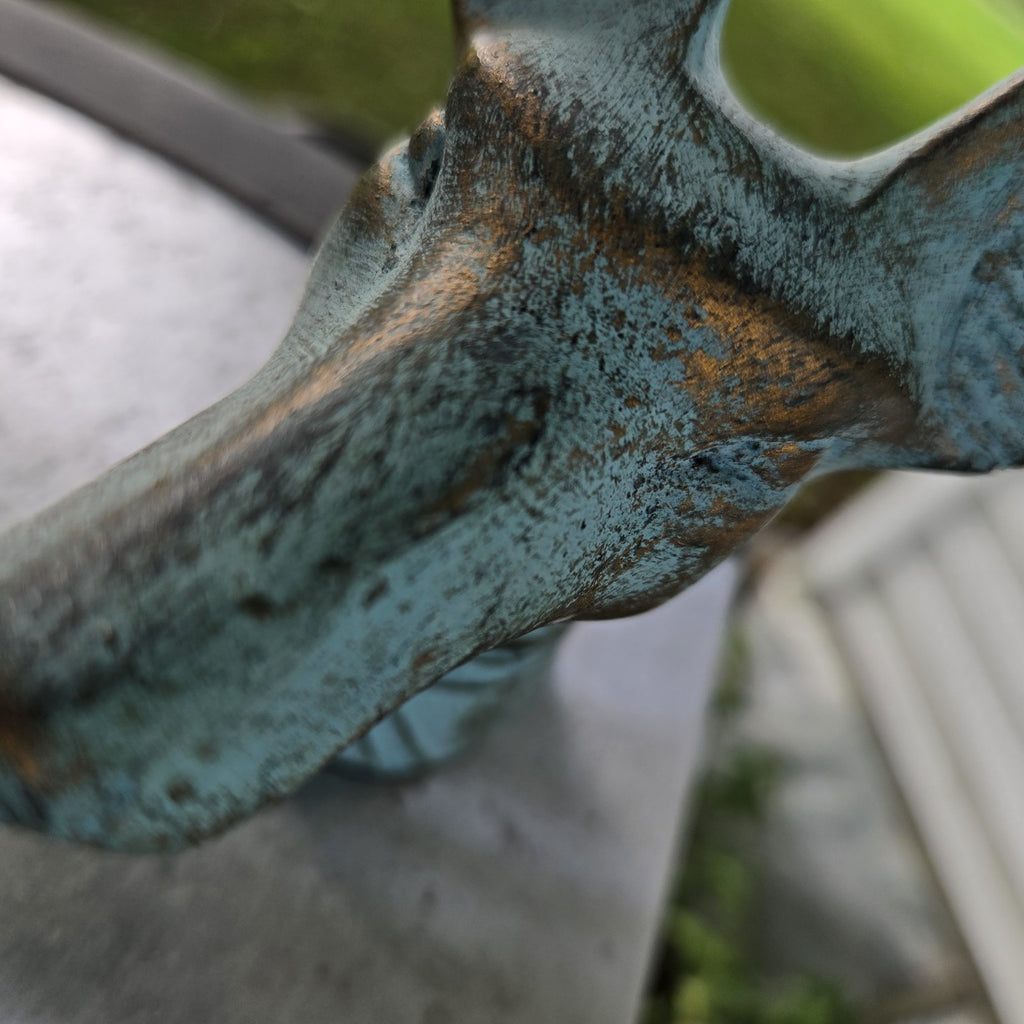 Image #21