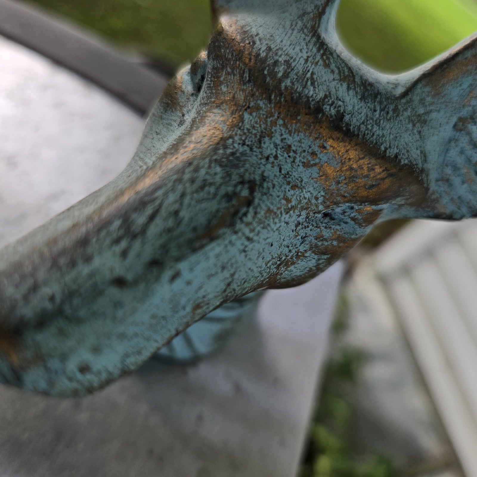 Image #21