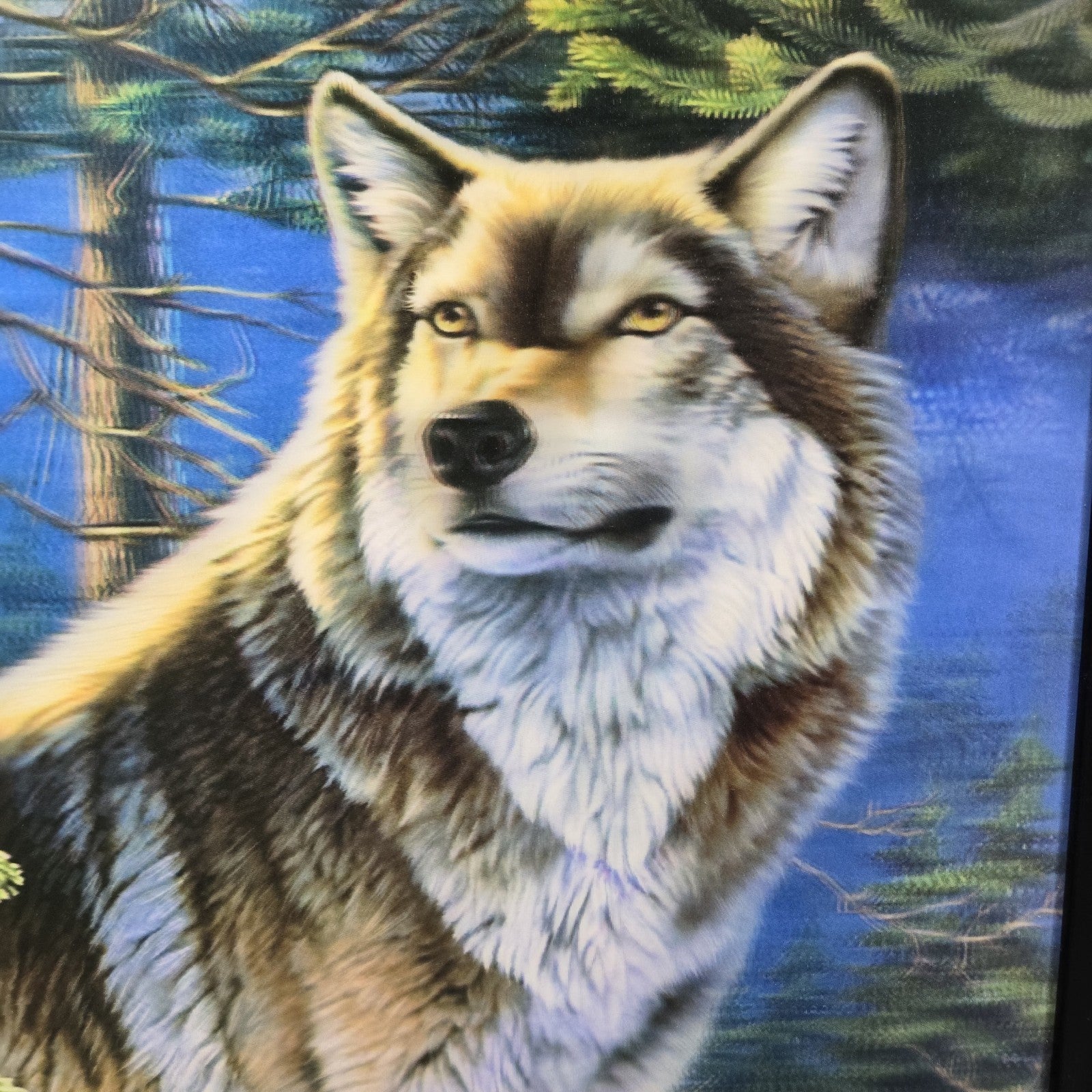 Image #5