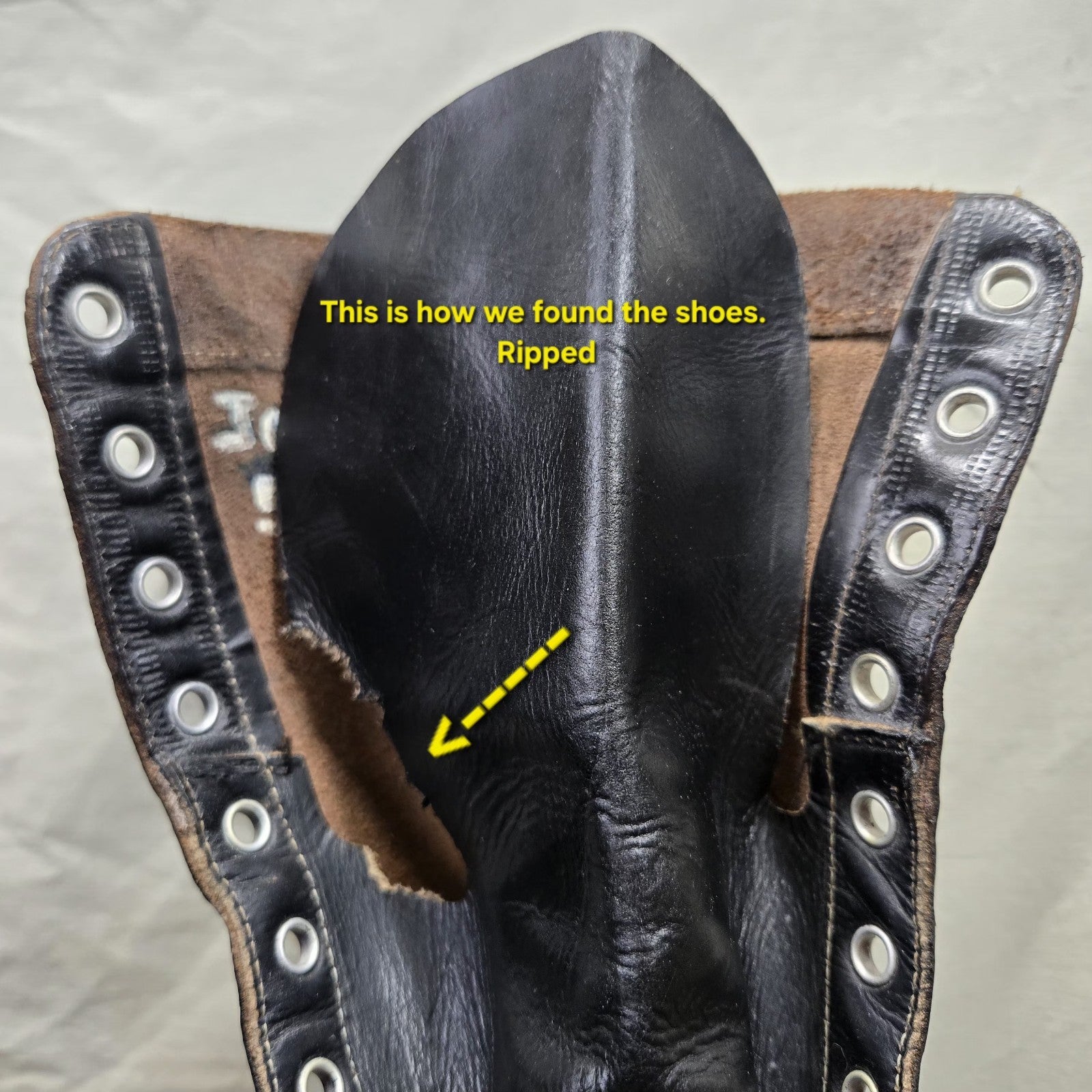 Image #7