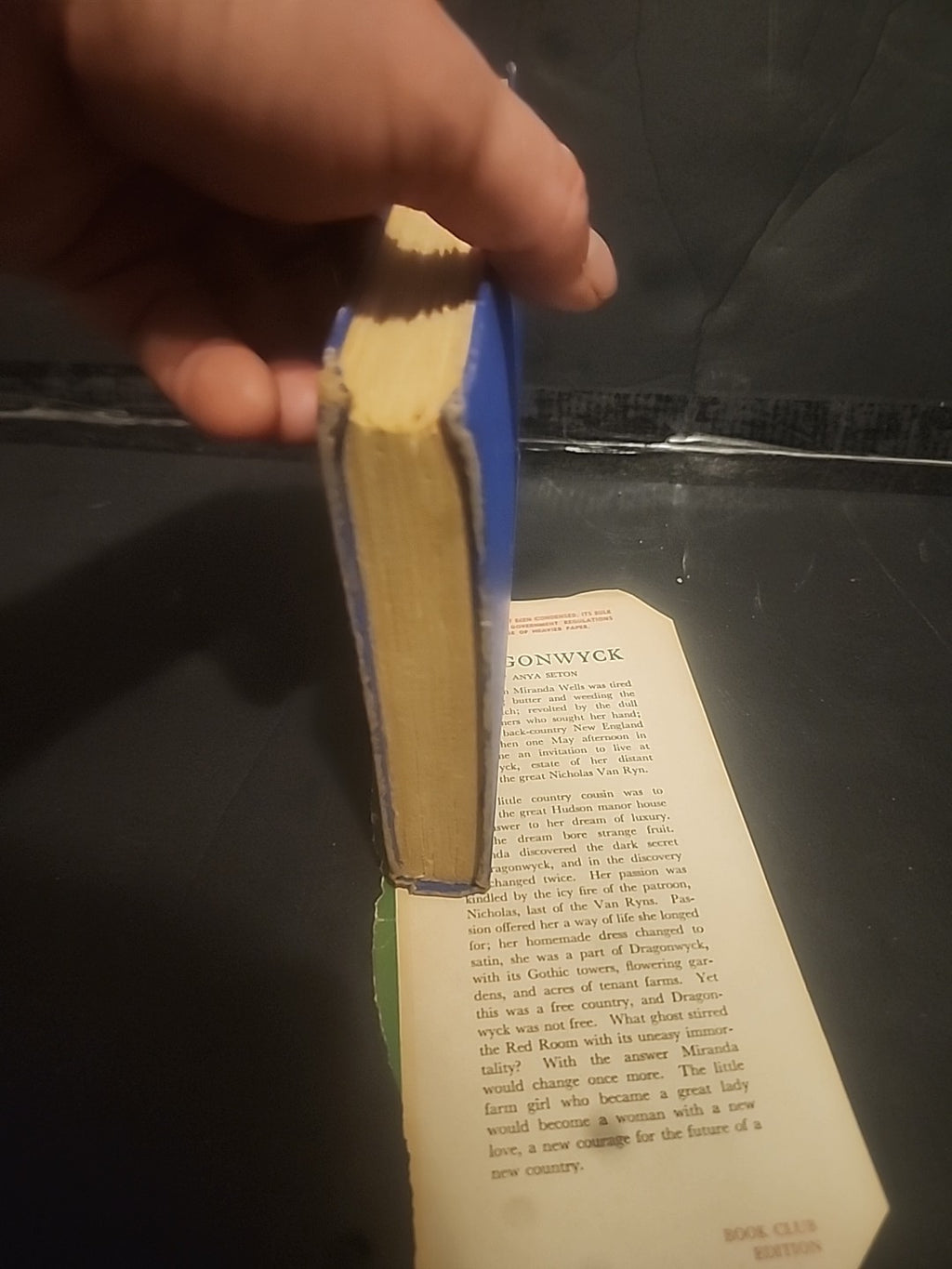 Image #6
