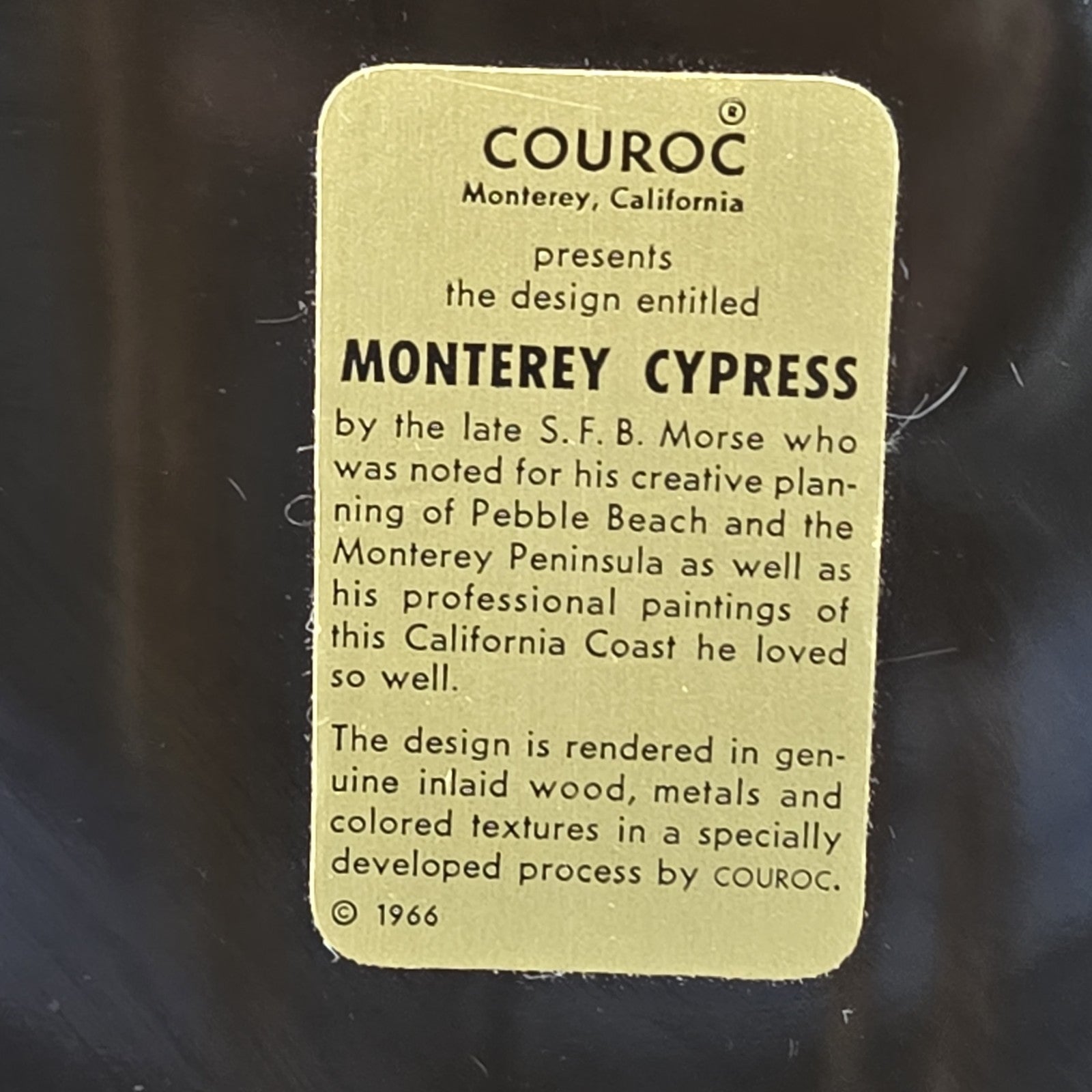 Image #7