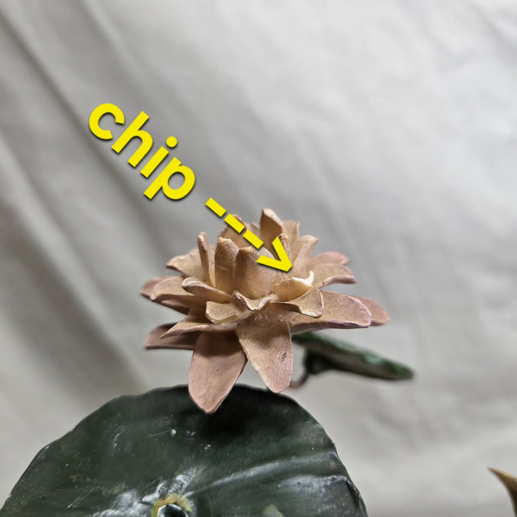 Image #20